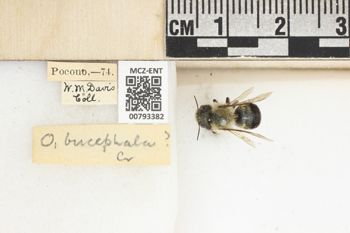 Media type: image;   Entomology 793382 Aspect: Labels